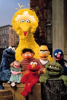 the sesame street gang is posing for a photo