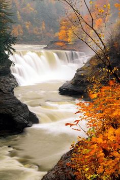 a waterfall in the middle of a forest filled with trees and leaves, surrounded by fall foliage