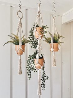 three hanging planters with plants in them on the side of a white wall next to a potted plant