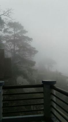 a foggy view from a balcony with trees in the foreground and houses in the background