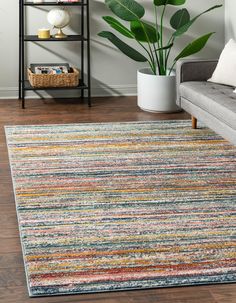 a living room area with a couch, rug and potted plant on the floor