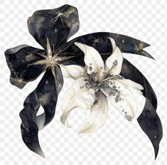 a white and black flower with stars on it's petals, hd png