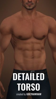 an image of a man with no shirt on and the words detailed torso created by golywaw