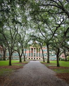 a brick walkway leading to a building surrounded by trees