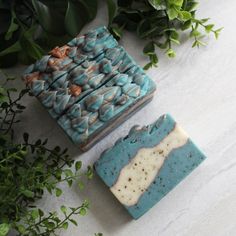 two soap bars sitting next to each other on top of a table with plants in the background