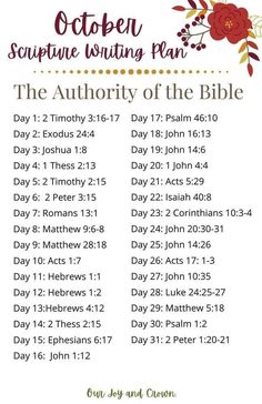 an image of the bible's daily schedule