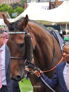 a man standing next to a brown horse wearing a bridle on it's head