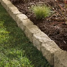 a close up of a grass and stone planter in the middle of a garden