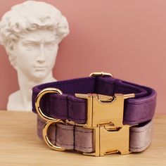 a close up of a dog collar on a table with a statue in the background