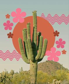 a large cactus in the middle of a desert with pink and orange flowers around it