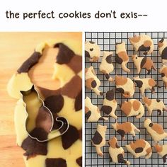 two pictures one with cookies and the other with dog shaped cookie cutters on it