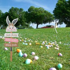 an easter egg hunt sign in the grass with eggs scattered around it and trees in the background