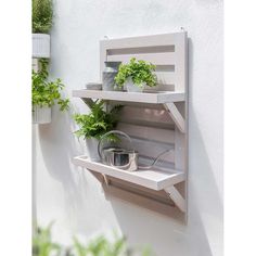 an outdoor shelf with plants and potted plants on it next to a white wall