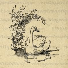 a drawing of a duck in the water next to a bush with flowers on it