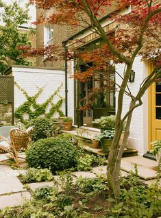 an outdoor patio with chairs and plants in the foreground, next to a yellow door