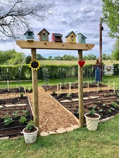 an outdoor garden with several bird houses on the top and plants growing in the bottom