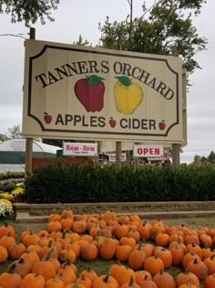 a sign for an apple cider with lots of pumpkins in front of it