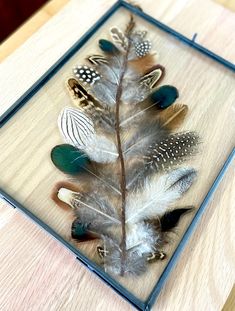 some feathers are in a glass frame on a table