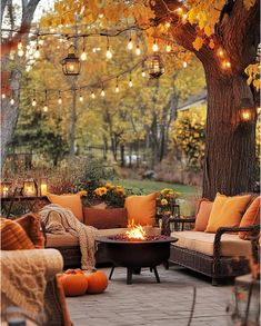 a fire pit sitting under a tree filled with lots of pumpkins and lit candles