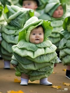 a group of babies dressed up in cabbage costumes, all looking like they're going to eat something