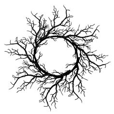 a black and white photo of a tree branch with a round hole in the middle