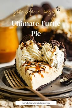 a slice of cheesecake on a plate with the words, simple and easy ultimate turtle pie