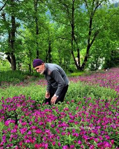 a man kneeling down in a field full of purple flowers