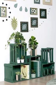 some plants are sitting on green crates in front of a wall with pictures above them