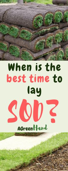 a pile of grass sitting on top of a field next to a sign that says when is the best time to say so?