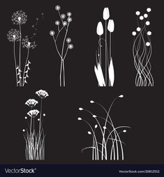 the silhouettes of flowers and grass on a black background