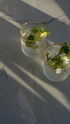 two glasses filled with water and lemon slices