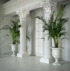 two large plants are in white vases on the floor next to pillars and doors