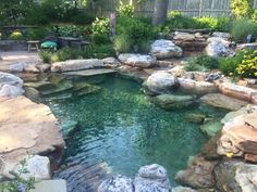 an outdoor pond surrounded by rocks and plants