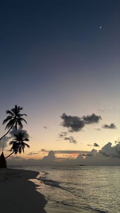 the sun is setting over the ocean with palm trees