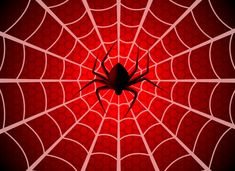 a spider in its web on a red background