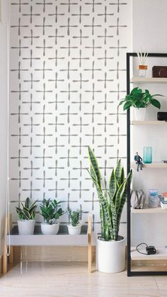 a living room filled with lots of plants next to a wall mounted book shelf on top of a hard wood floor