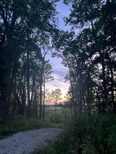 the sun is setting behind some trees in the woods near a dirt path that leads to a grassy field