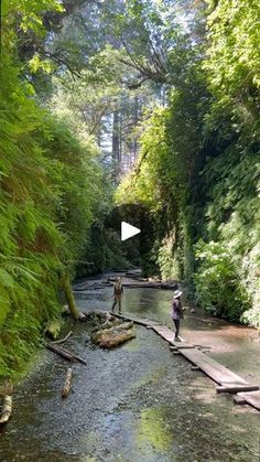 two people are fishing in a river surrounded by trees