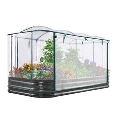 a green house with flowers inside and plants in the ground around it, on a white background