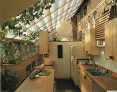 a kitchen with wooden cabinets and plants in it