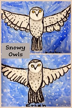 two drawings of snowy owls with snowflakes in the background and one drawing of an owl on it's wings