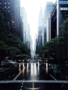 a city street filled with lots of traffic next to tall buildings and green trees in the rain