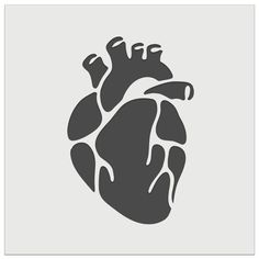 the human heart on a gray background