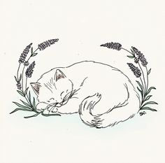 a drawing of a sleeping cat surrounded by flowers