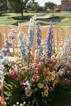 a bunch of flowers that are sitting in the grass next to some chairs on a field