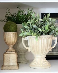 two vases filled with plants on top of a white book shelf next to a framed photo