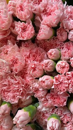 pink carnations are arranged together in a bouquet for sale at the flower market