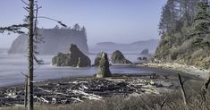 the beach is surrounded by tall trees and foggy water with rocks in the foreground