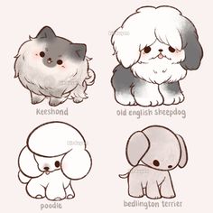 four different types of dogs with their names in english and chinese, including poodle