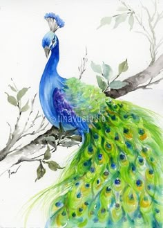 a watercolor painting of a peacock sitting on a tree branch